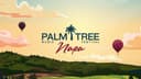 Palm Tree Music Festival