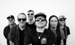 The Elovaters