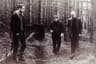 The Twilight Sad