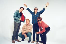 The Stews