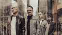 The Pineapple Thief