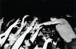 I Am the Avalanche