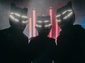 Black Tiger Sex Machine