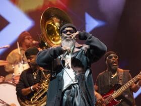 The Roots