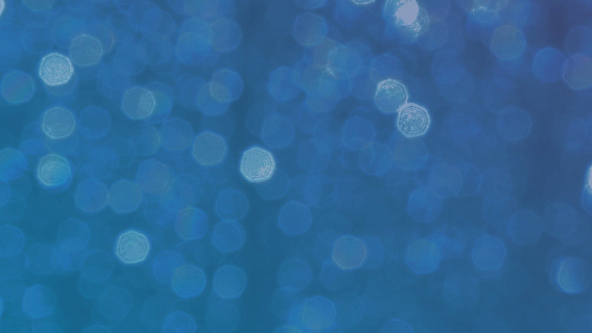 Beats & Bites Festival