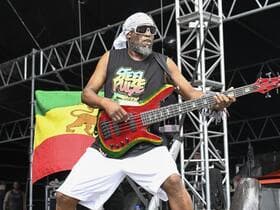 Steel Pulse