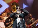 The Roots