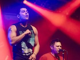 Zebrahead